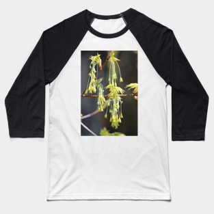 Nature's Earrings Baseball T-Shirt